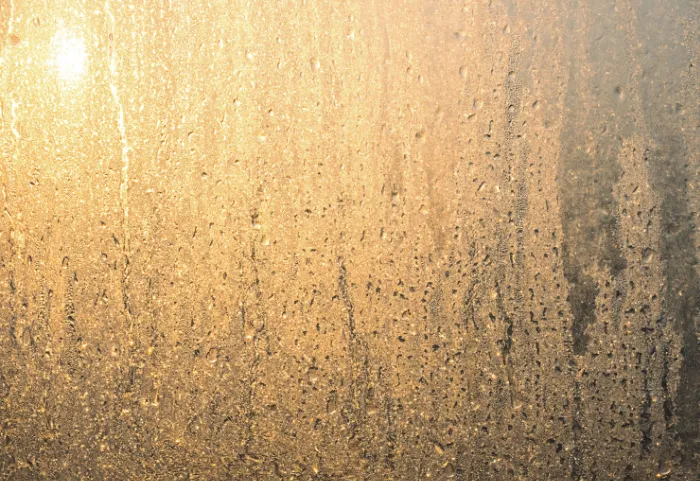 Climate-controlled units Colombia — humidity protection U-Storage